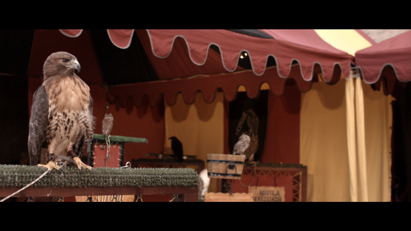 imagen de la galería del vídeo de promoción turística montemayor