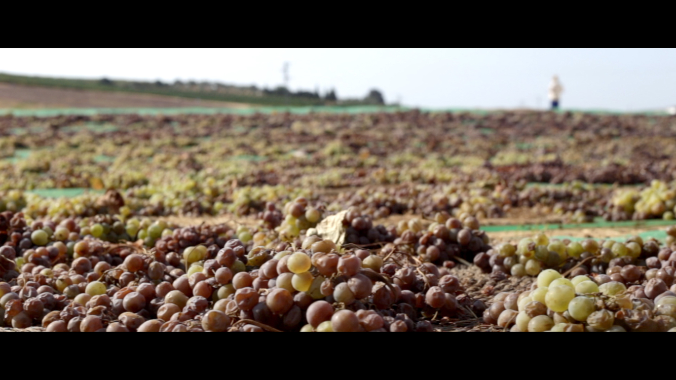 imagen de la galería del vídeo de promoción turística montemayor