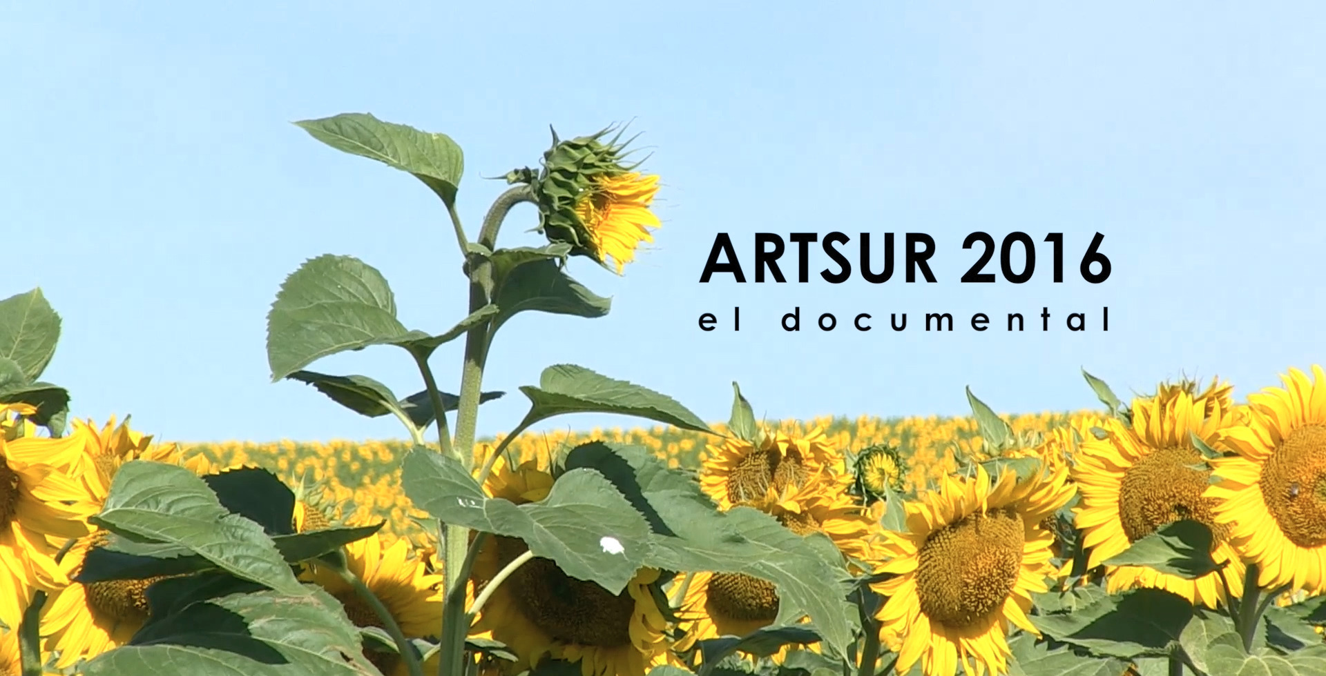 imagen cabecera de ArtSur'16 imagen del documental ArtSur'16